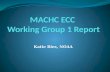 MACHC ECC  Working Group 1 Report