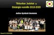 Tikkurilan Judokat  ry Strategia  vuosille  2013-2020 Judoa  Hyvässä Seurassa