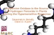 Polyamine Oxidase is the Source  of Hydrogen Peroxide in Plants During the Hypersensitive Response