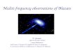Muliti-frequency observations of Blazars