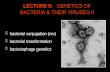 LECTURE 9:    GENETICS OF  BACTERIA & THEIR VIRUSES II