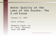 Water Quality at the Lake of the Ozarks: The  E. coli  Issue