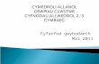 CYMEDROLI ALLANOL  GRWPIAU  CLWSTWR  CYFNODAU  ALLWEDDOL  2/3  CYMRAEG
