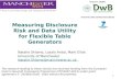 Measuring Disclosure Risk and Data Utility for Flexible Table Generators