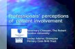 Professionals’ perceptions of  patient involvement