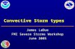 Convective Storm types