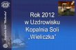 Rok 2012                   w Uzdrowisku Kopalnia Soli „Wieliczka”