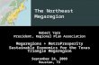 The Northeast  Megaregion