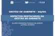 GESTÃO DE GABINETE - SAJ/GG ASPECTOS DESTACADOS DA  GESTÃO DE GABINETE