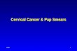 Cervical Cancer & Pap Smears