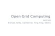 Open Grid Computing
