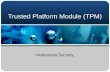 Trusted Platform Module (TPM)