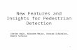 New Features and Insights for Pedestrian Detection