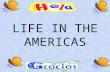 LIFE IN THE AMERICAS