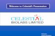 Welcome to Celestial’s Presentation