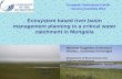 Ecosystem based river basin management planning in a critical water catchment in Mongolia
