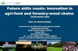 Future skills needs: Innovation in agri-food and forestry-wood chains 20 November 2006
