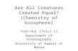 Are All Creatures Created Equal? (Chemistry of biosphere)
