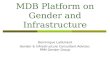 MDB Platform on Gender and Infrastructure