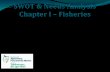 SWOT & Needs Analysis Chapter I – Fisheries