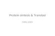 Protein sintesis & Translasi
