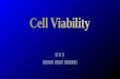Cell Viability