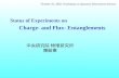 Status of Experiments on       Charge- and Flux- Entanglements