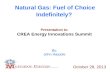 Natural Gas: Fuel of Choice Indefinitely?