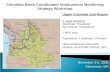 Columbia Basin Coordinated Anadromous Monitoring Strategy Workshop