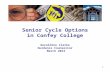 Senior Cycle Options in Confey College Geraldine Clarke Guidance Counsellor  March 2014