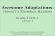 Awesome Adaptations: Hawai‘i’s Shoreline Habitats Grade 3 Unit 1  Lesson 2