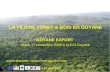 LA FILIERE FORET & BOIS EN GUYANE GUYANE EXPORT Mardi 17 novembre 2009 à la CCI Guyane
