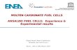 MOLTEN CARBONATE FUEL CELLS ANSALDO FUEL CELLS:  Experience & Experimental results