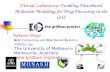 Virtual Laboratory:  Enabling Distributed Molecular Modelling for Drug Discovery on the Grid