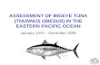 ASSESSMENT OF BIGEYE TUNA ( THUNNUS OBESUS ) IN THE EASTERN PACIFIC OCEAN
