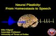 Neural Plasticity: From Homeostasis to Speech