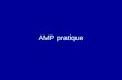 AMP pratique