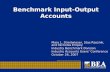 Benchmark Input-Output Accounts