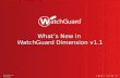 What’s New in WatchGuard Dimension v1.1
