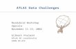 ATLAS Data Challenges