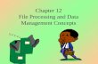 Chapter 12 File Processing and Data Management Concepts