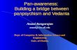 Pan-awareness:  Building a bridge between panpsychism and Vedanta