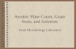 Aerobic Plate Count, Gram Stain, and Isolation