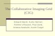 The Collaborative Imaging Grid (CIG)