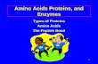 Amino Acids Proteins, and Enzymes