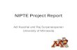 NIPTE Project Report