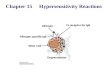 Chapter 15     Hypersensitivity Reactions