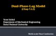 Dual-Phase-Lag Model (Chap 7.1.2)