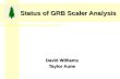 Status of GRB Scaler Analysis