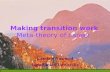 Making transition work  Meta-theory of career